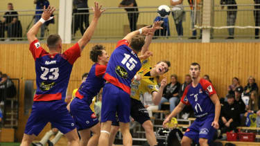 Rhein-Neckar Löwen II - HBW Balingen-Weilstetten II, 3. Liga Handball