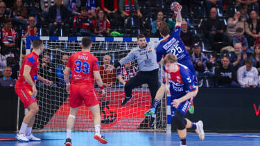 SG Flensburg-Handewitt, Vojvodina Novi Sad, Handball