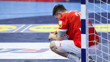 Michael Damgaard, Dänemark, Handball-EM 2024